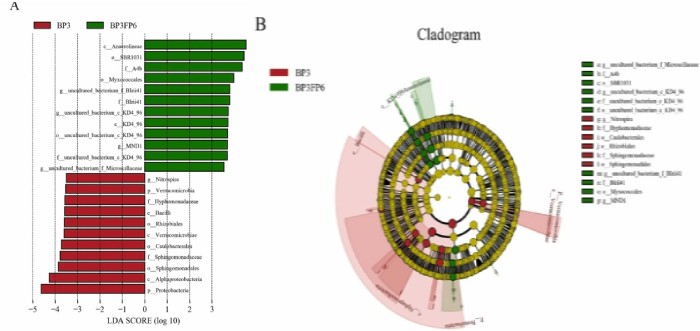 How to maintain the toilet？